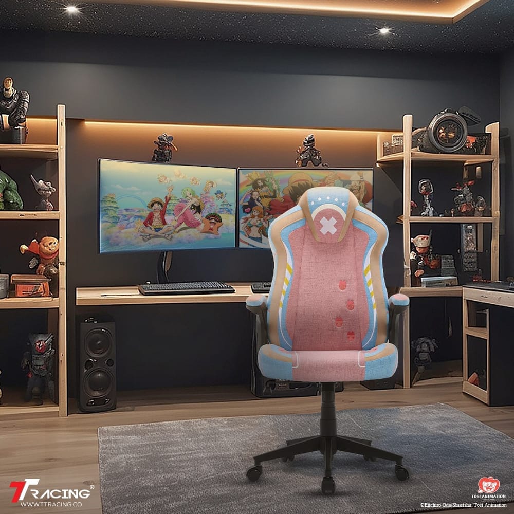 เก้าอี้เกมมิ่ง TTRacing Duo V4 Chopper Edition 
